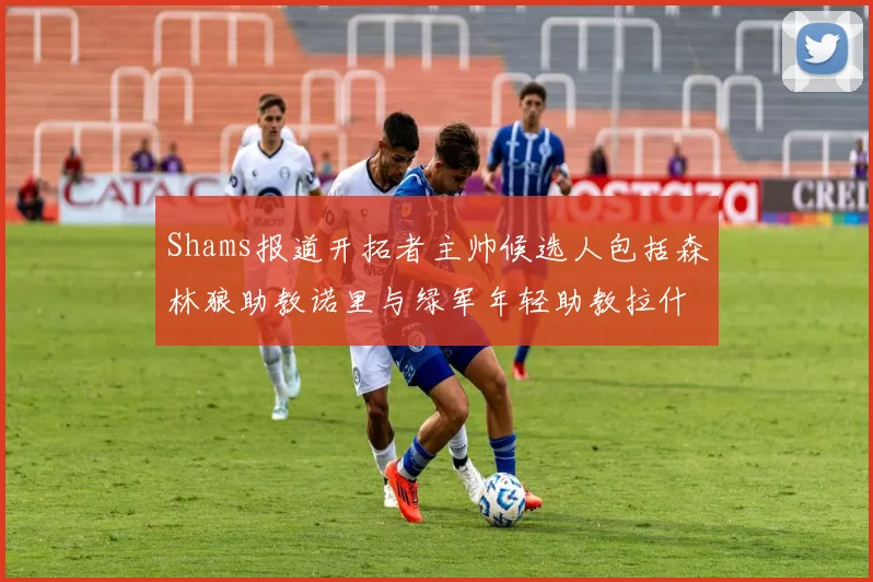 Shams报道开拓者主帅候选人包括森林狼助教诺里与绿军年轻助教拉什布鲁克